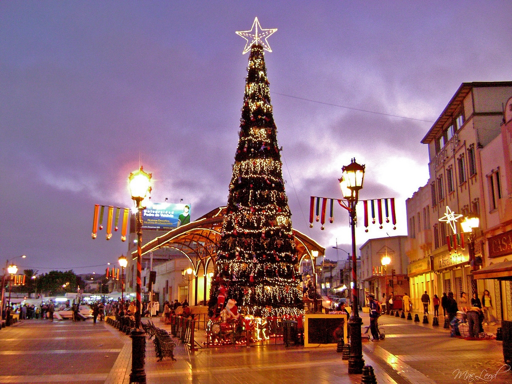 El árbol es un simbolo típico de las fiestas navideñas