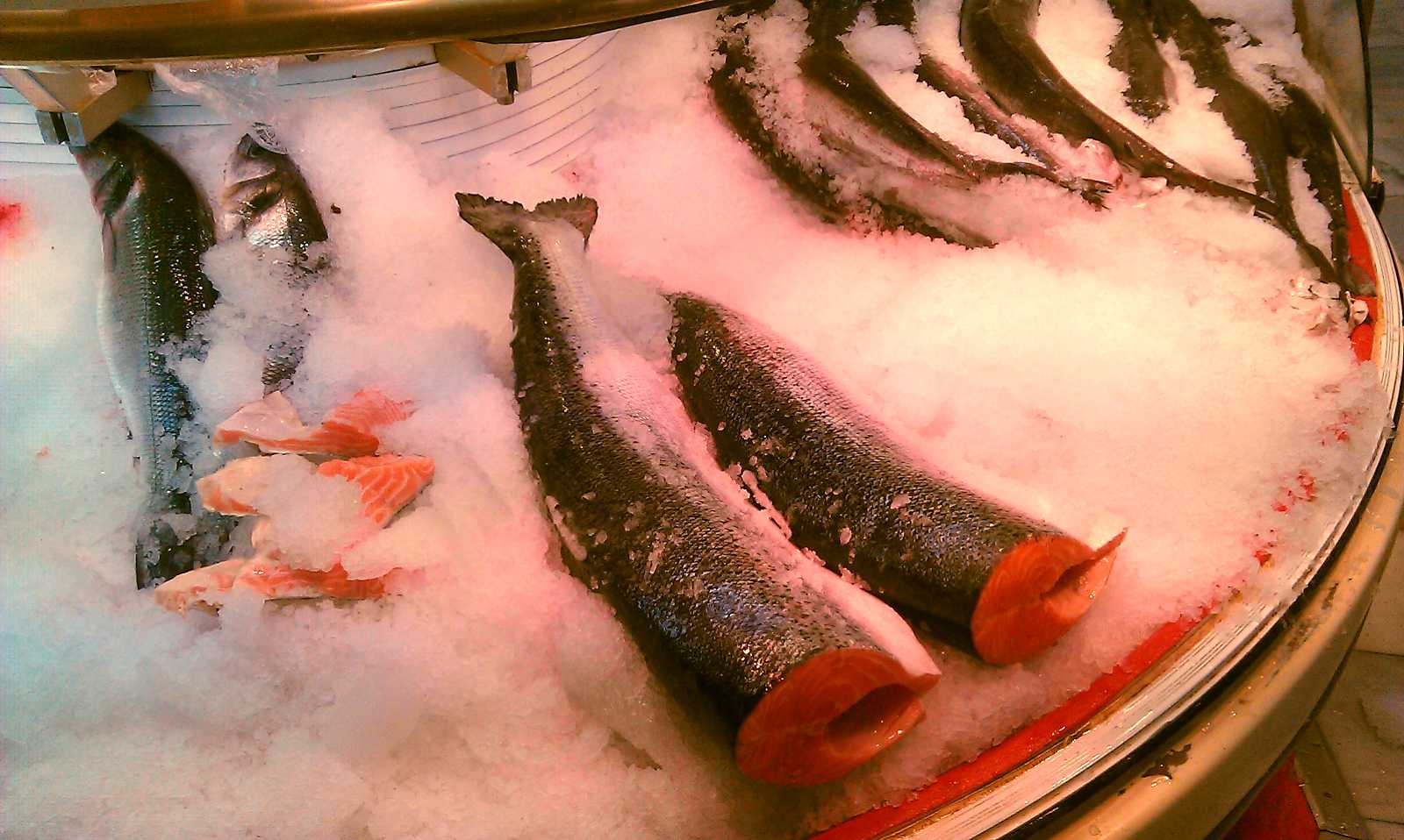 Pescado 2