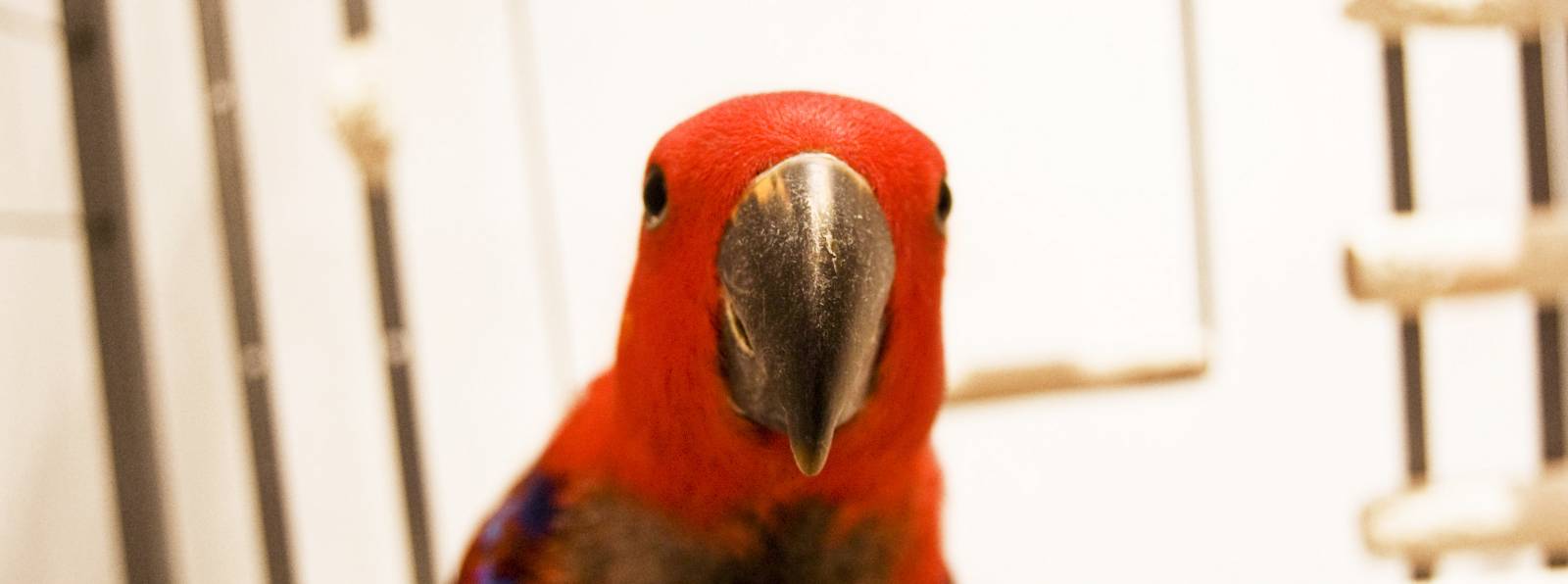 slider1