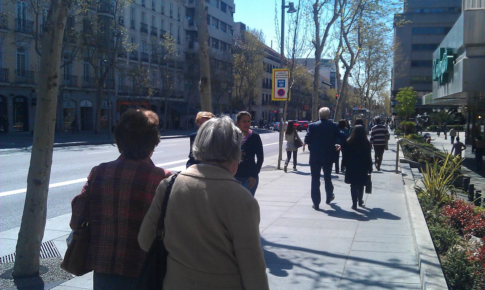 IMAG0654