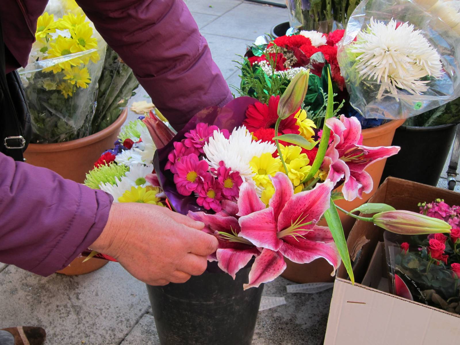 IMG_0008 Rocio mima sus flores. Foto: Laura Casado