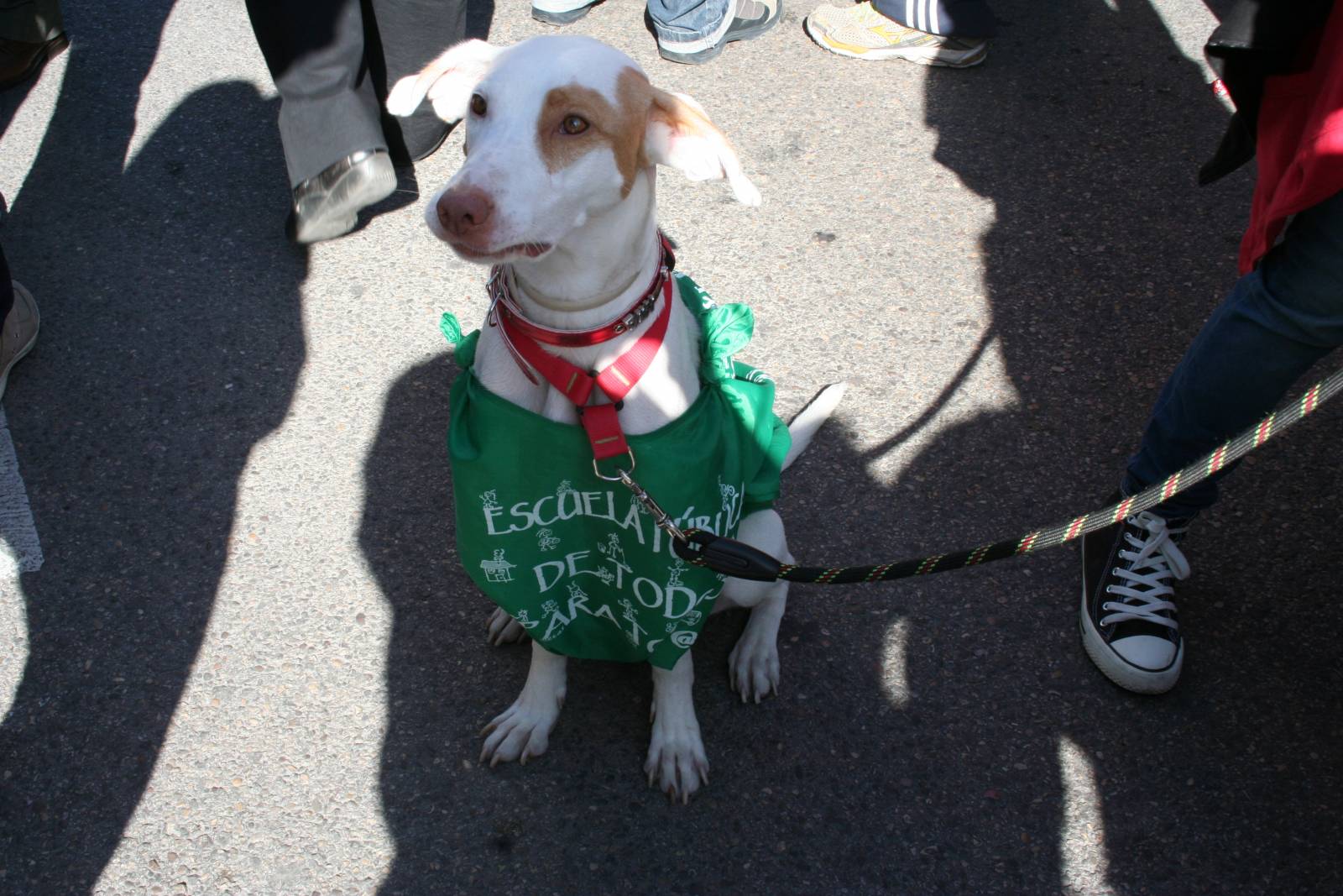 Perro durante manifestación Alcalá de Henares