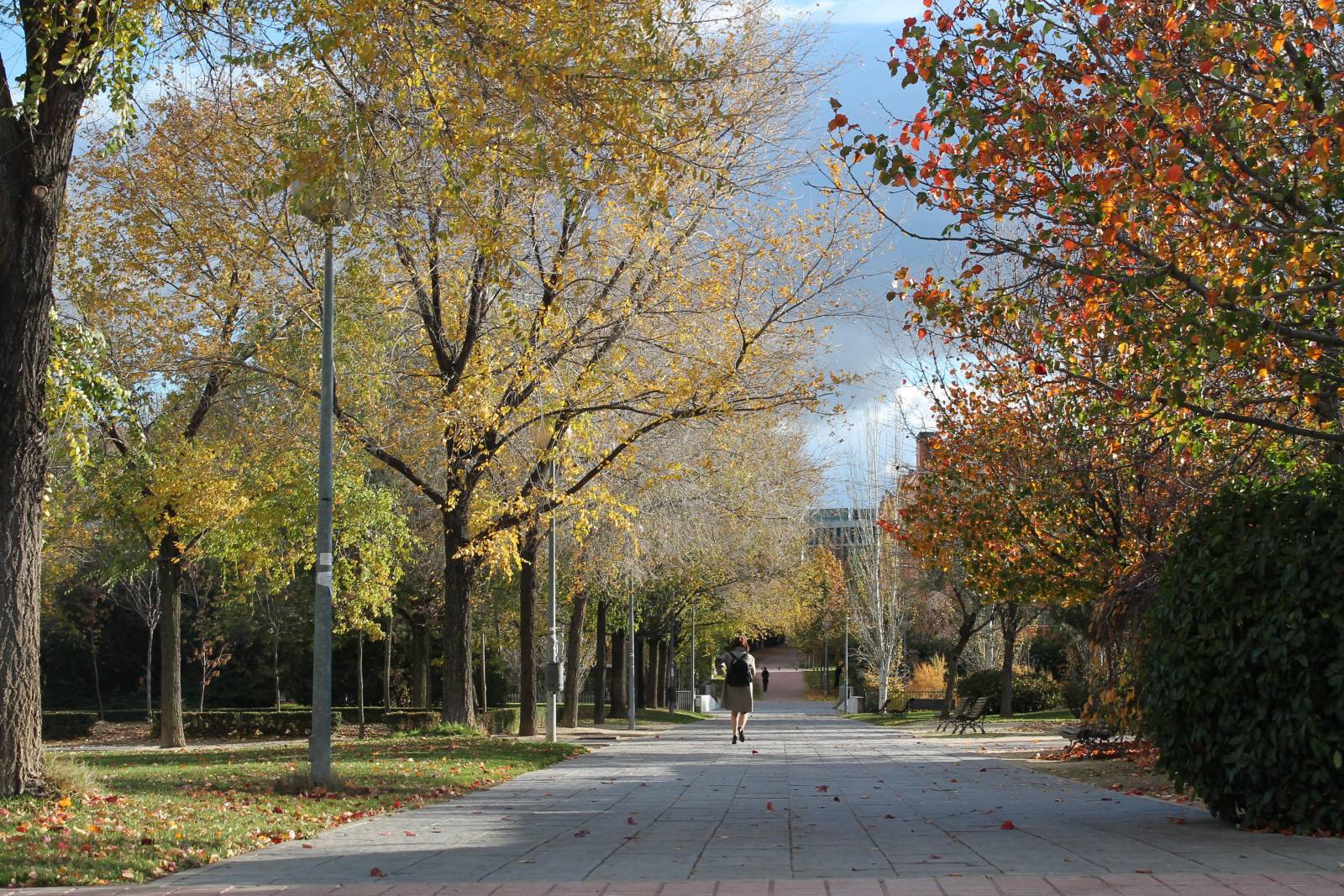 Parque Arroyo de la Vega