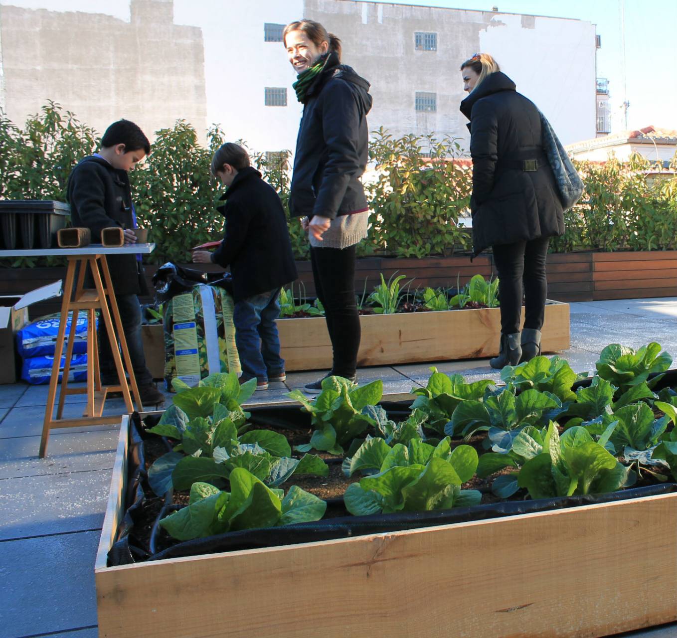 lechugas Terraza La Casa Encendida