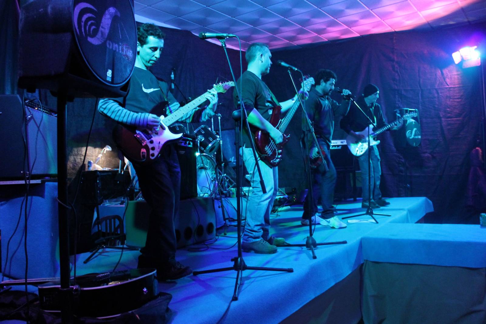 Mandriles concierto Navidad