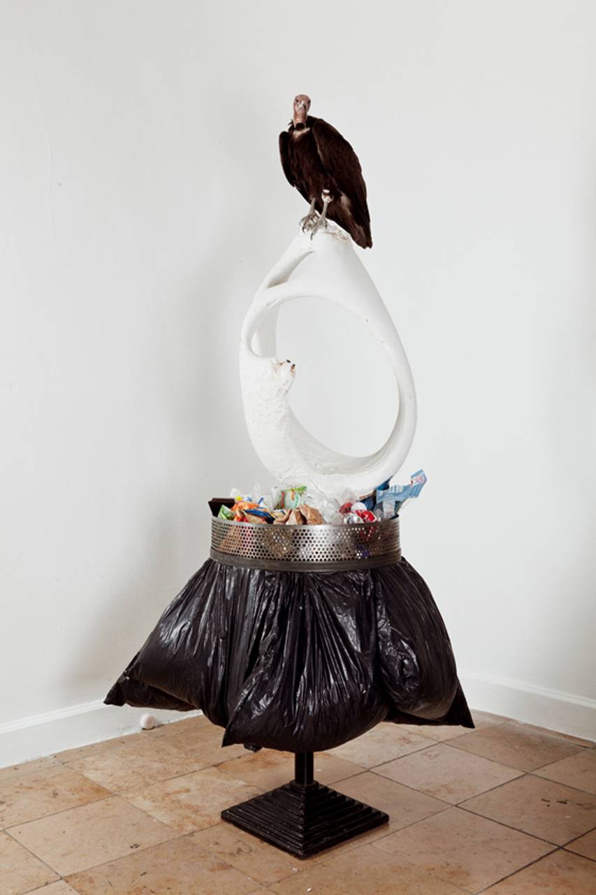 John Isaacs. «Walking in the poverty of our history in the making» 2011. Animal disecado, bolsas de basura con su contenido, estructura de metal 230 x 120 x 120 cm John Isaacs. «Walking in the poverty of our history in the making» 2011. Animal disecado, bolsas de basura con su contenido, estructura de metal 230 x 120 x 120 cm