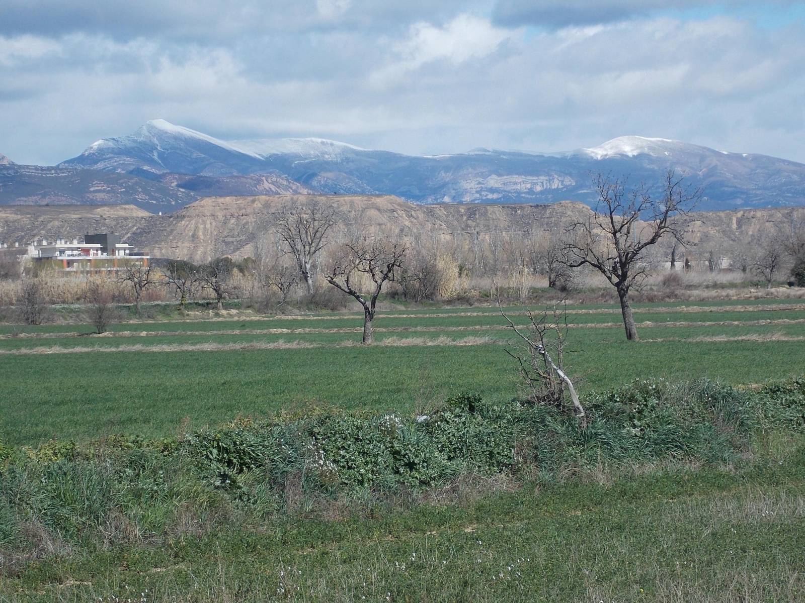 DSCN0805 Paisaje solitario y nevado que se divisa desde el Congreso