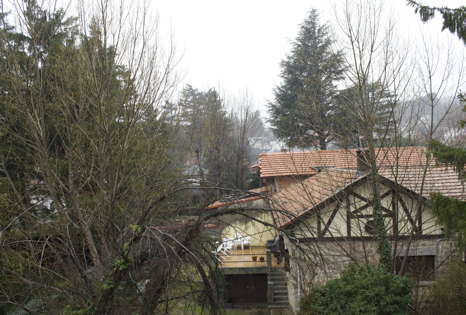 Un hogar entre el bosque Un hogar entre el bosque