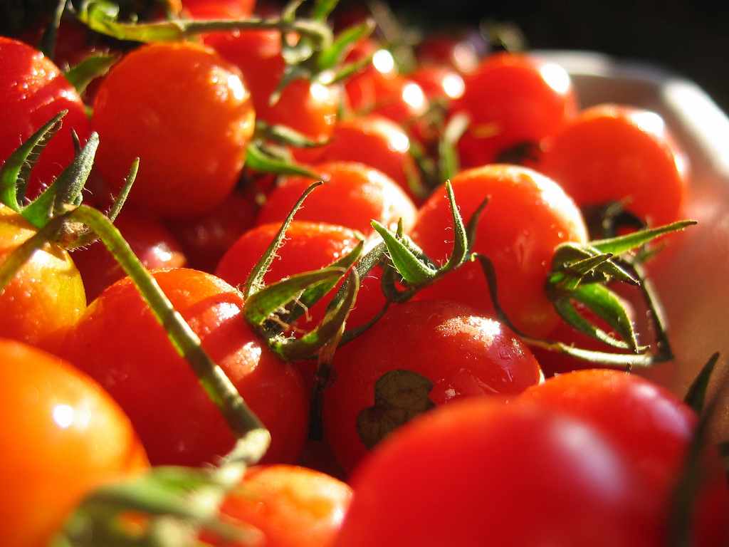 España desperdicia cada año 7.7 millones de toneladas de comida. Foto: Jinax España desperdicia cada año 7.7 millones de toneladas de comida. Foto: Jinax