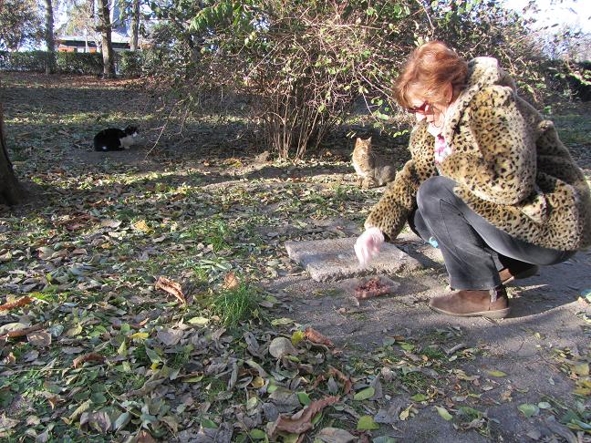 Pilar Daguerre alimentando a los gatos. Foto: M. R.