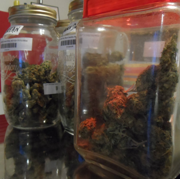 Marihuana preparada para su distribución. Foto: J.R.