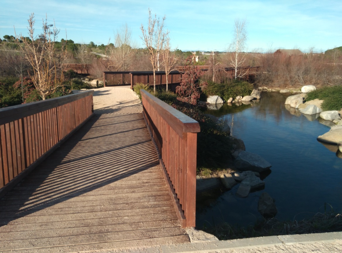 Puente y Laguna Madrilanea