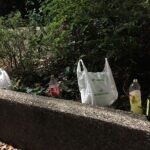 Bolsas de plástico y restos de un botellón