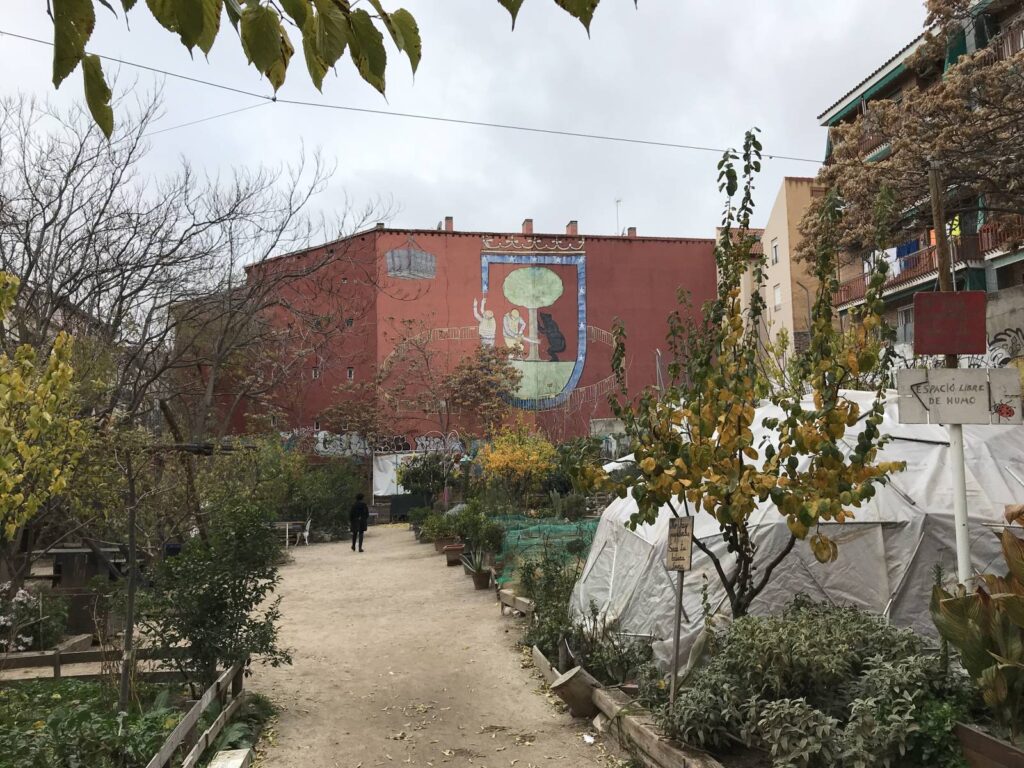 El huerto de Lavapiés «Esta es una Plaza» Foto: Jaime Sánchez Moreno
