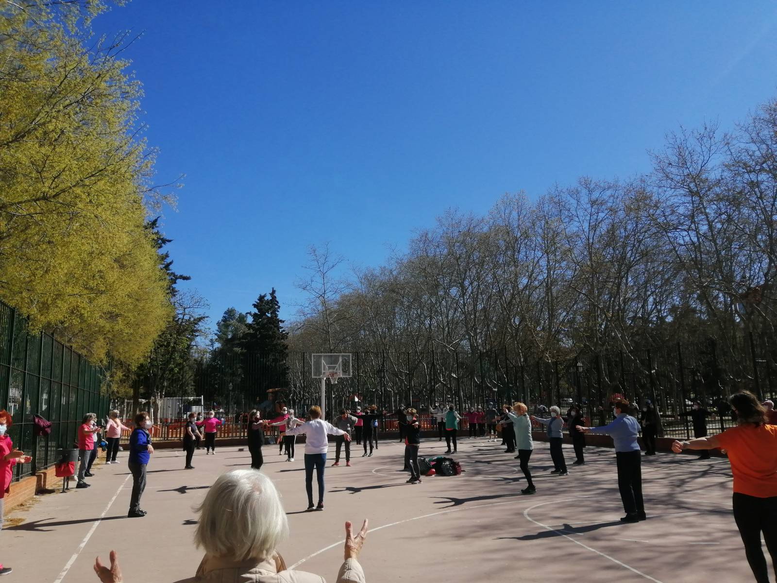 Un grupo de señoras mayores haciendo ejercicio en el parque Calero