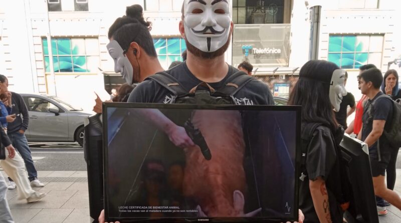 Anonymous for the Voiceless en Gran Vía, Madrid